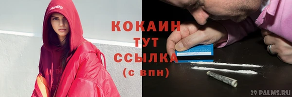ГАЛЛЮЦИНОГЕННЫЕ ГРИБЫ Беломорск
