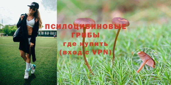 скорость Белокуриха