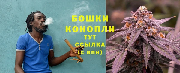 скорость Белокуриха