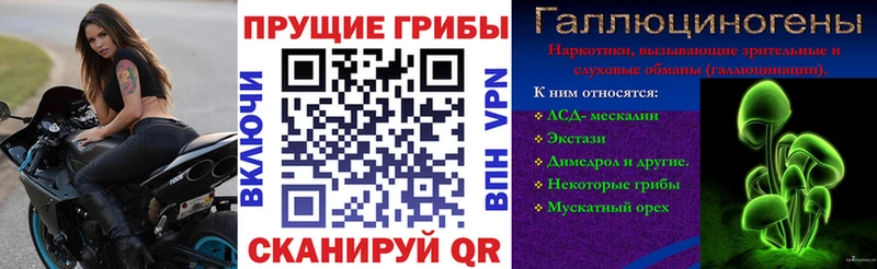 Галлюциногенные грибы Psilocybe  omg маркетплейс  Светлогорск 
